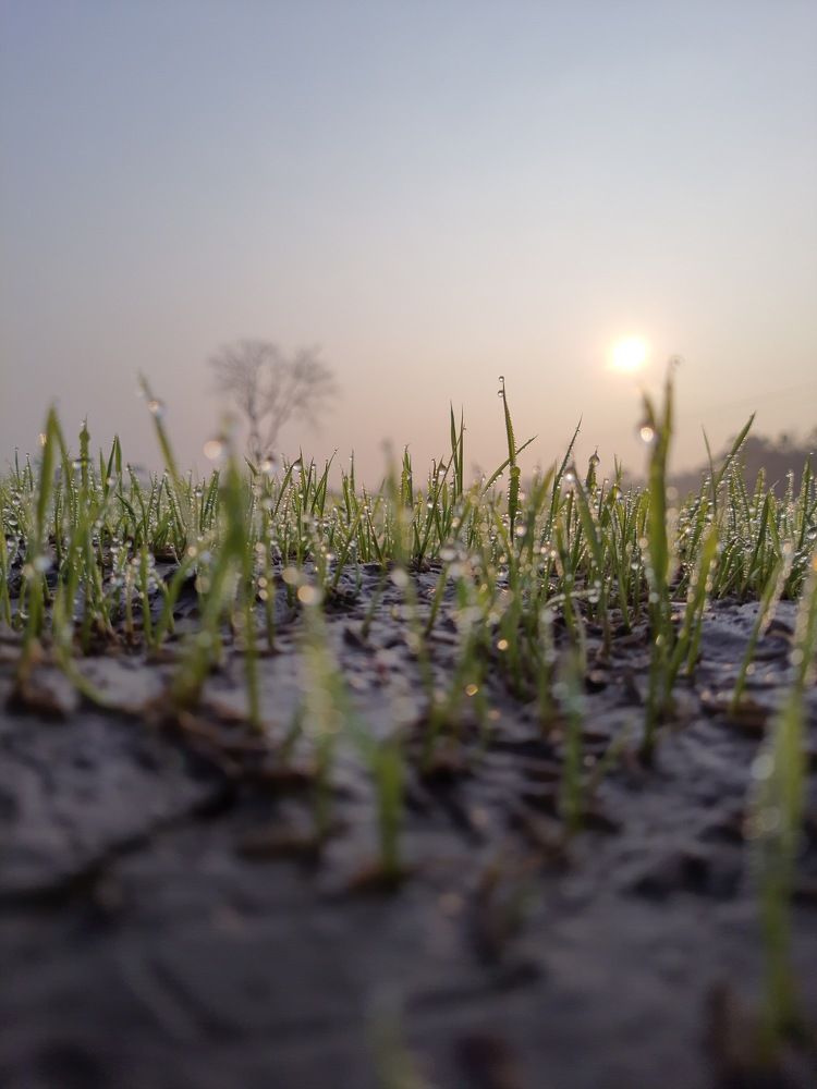 Photograph by Tanmay Karmakar