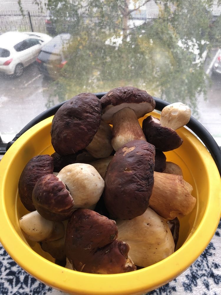 Photograph by Светлана