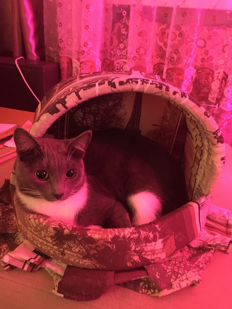 Photograph by Светлана