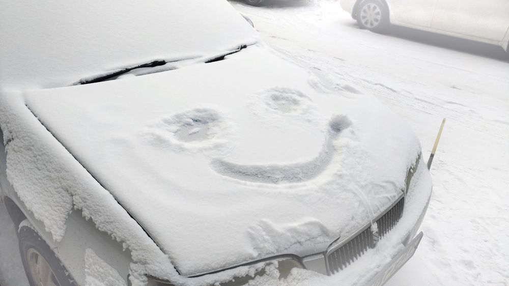 Photograph by Svetlana Victorovna Kibyakova