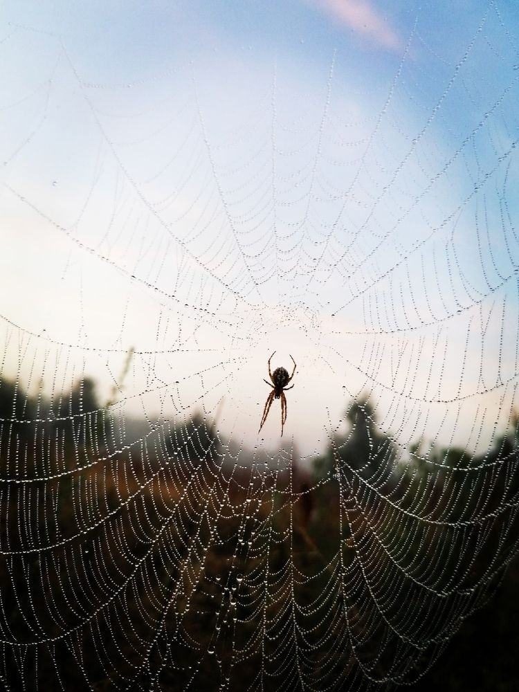 Photograph by Ксения Туваева