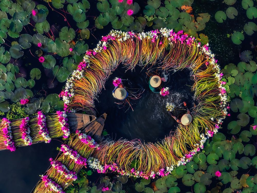 Photograph by Tuấn Nguyễn Tấn