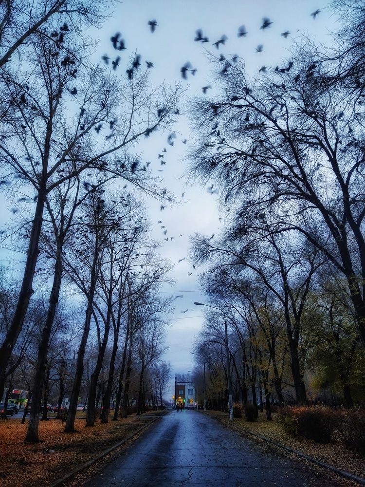 Photograph by Александр Гром