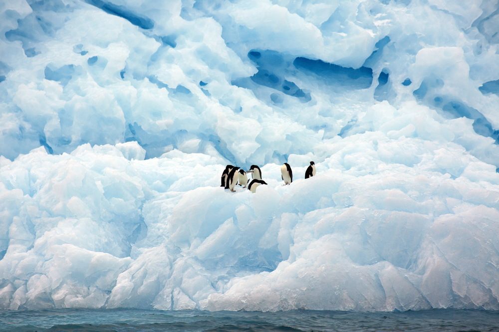 Photograph by Сергей ГОРДИЕНКО