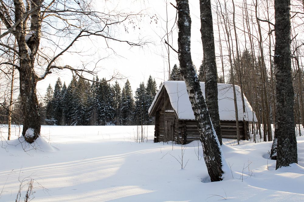 Photograph by Елена Коровкина