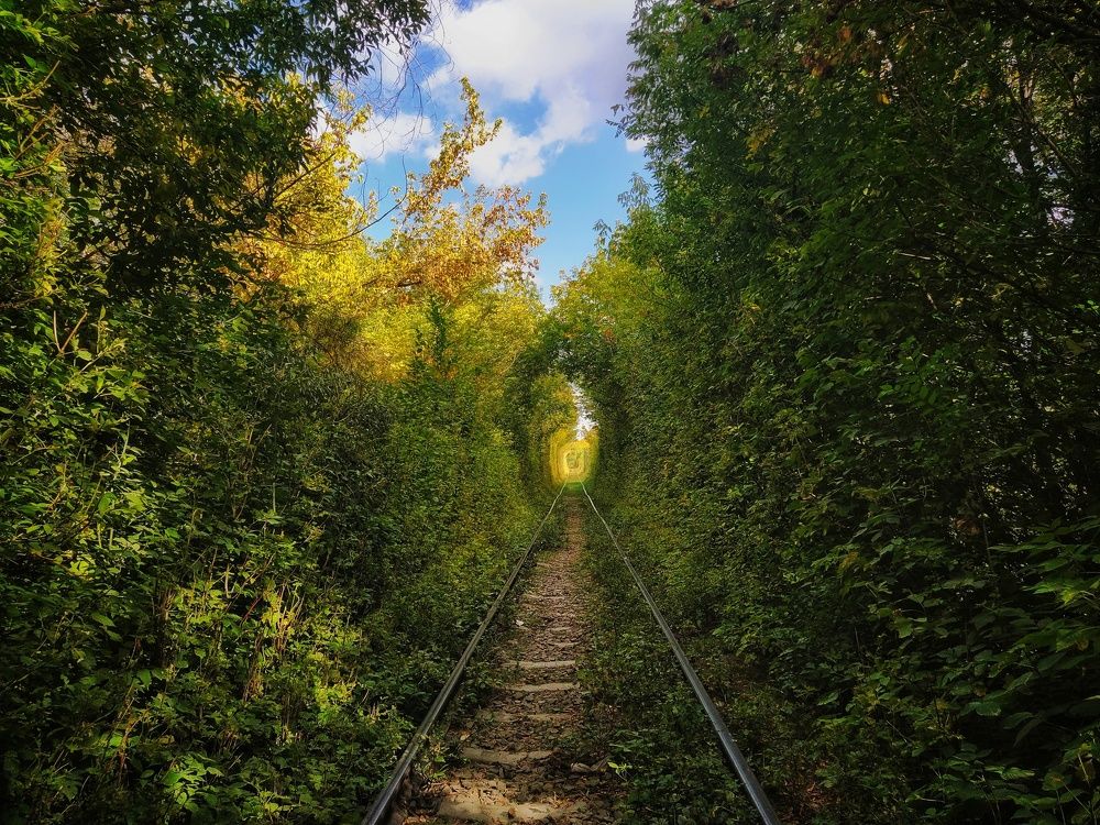 Photograph by Александр Гром