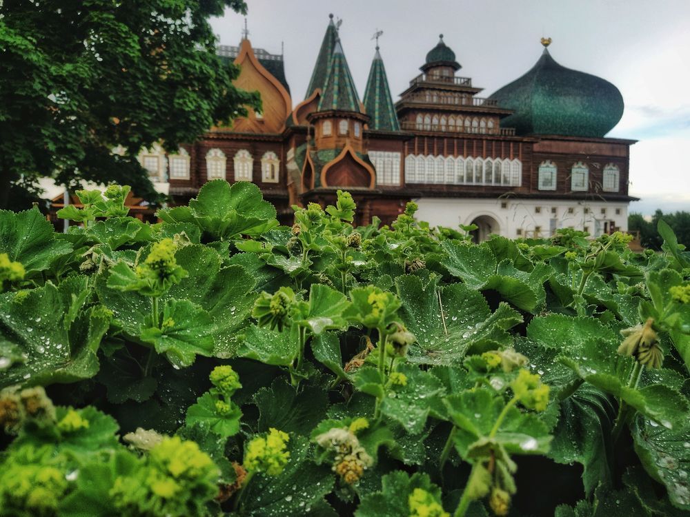 Photograph by Александр Гром