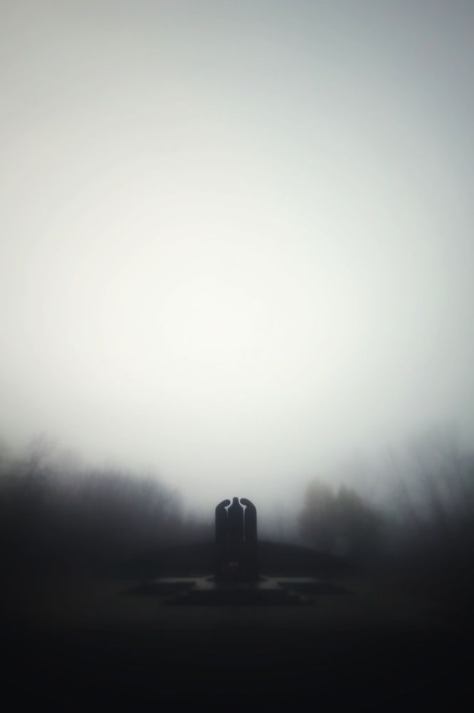 Photograph by Юлия Гришина