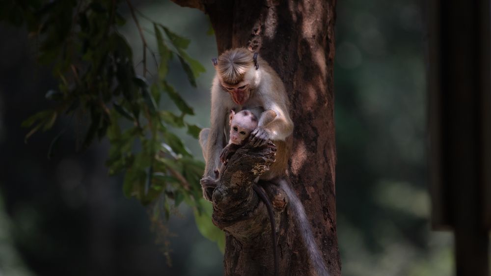 Photograph by Ragu Varan