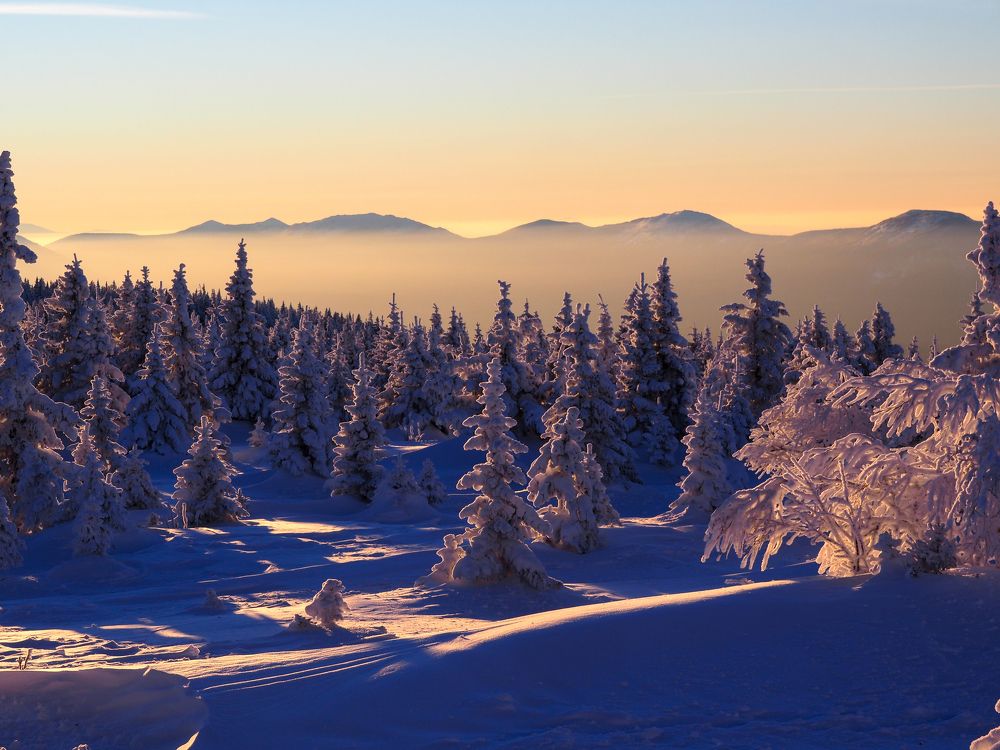 Photograph by Екатерина