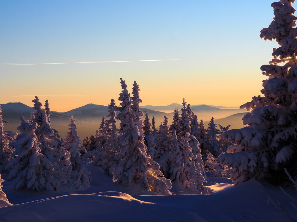 Photograph by Екатерина