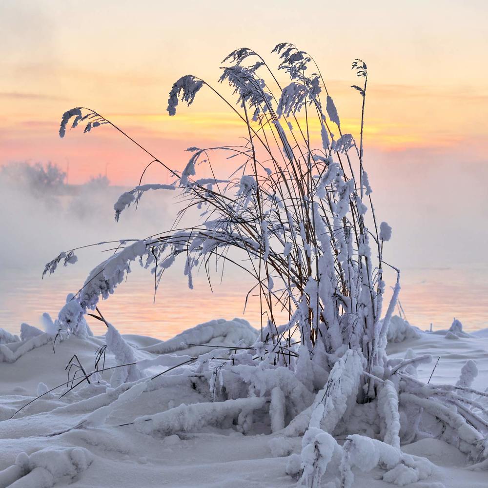 Фотография автора Сергей Низовцев