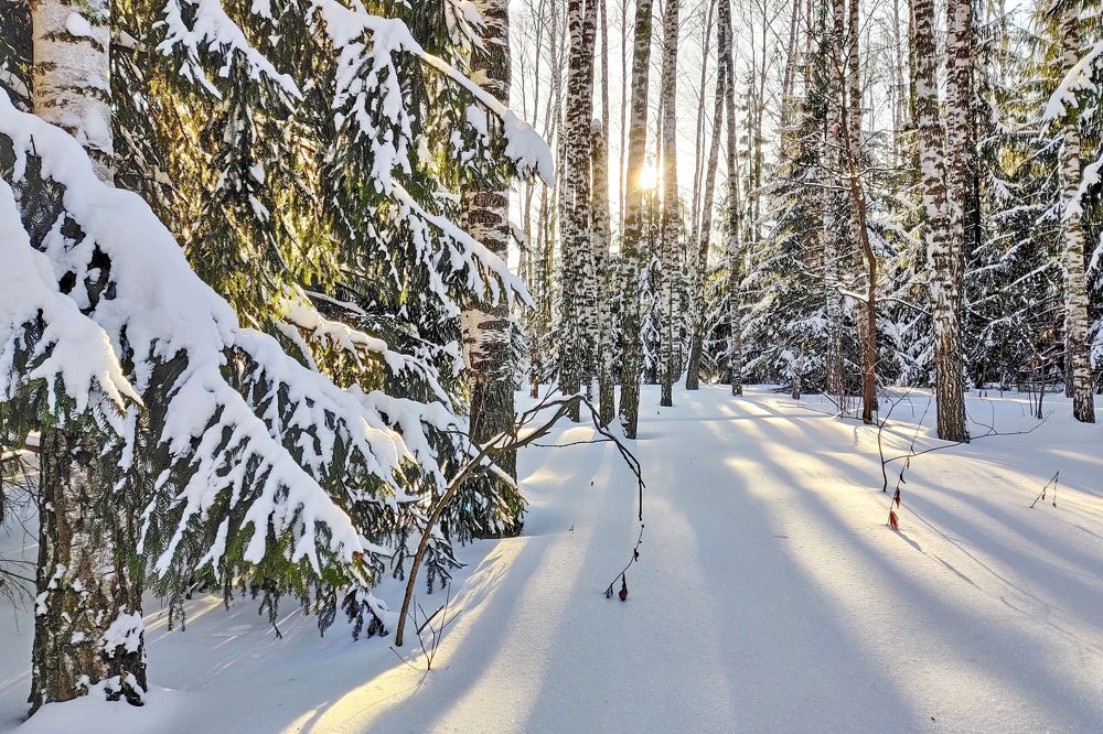 Photograph by Ольга Тюрина