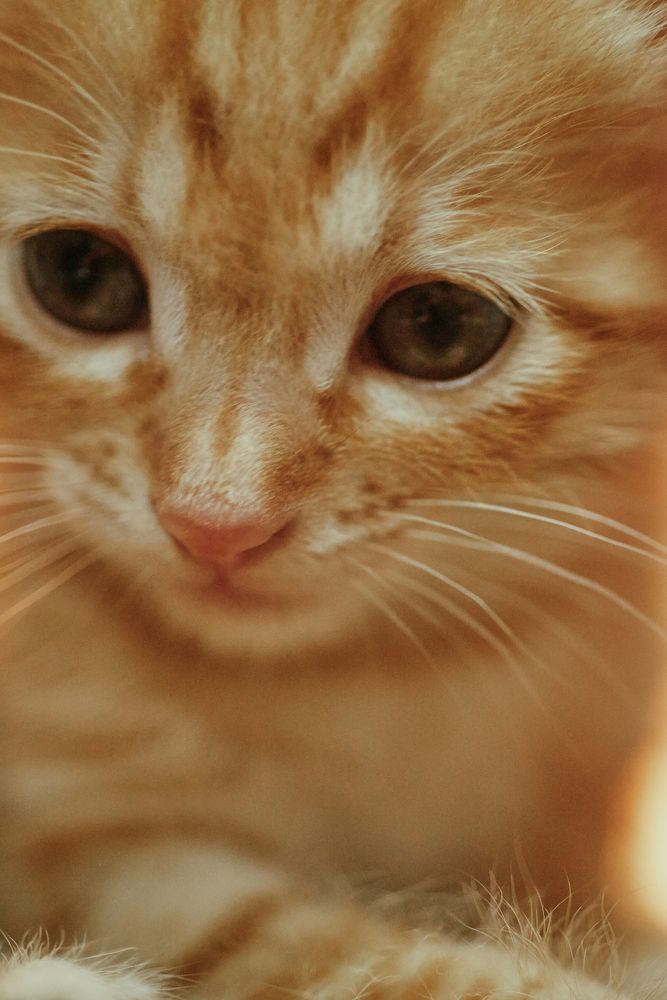 Photograph by Лиза Ананьева