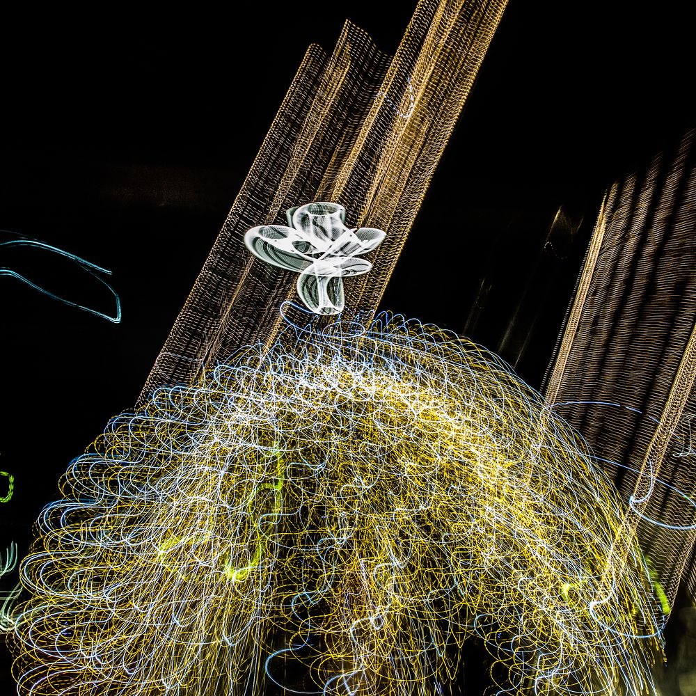 Photograph by Сергей Чарушин