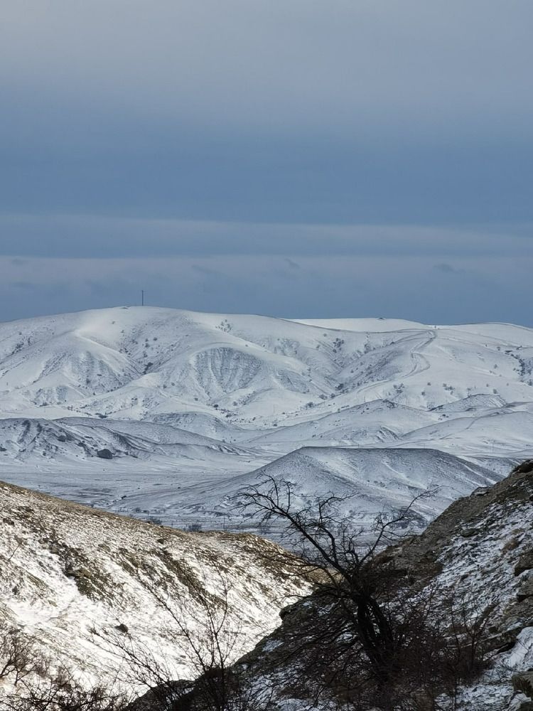 Photograph by дина