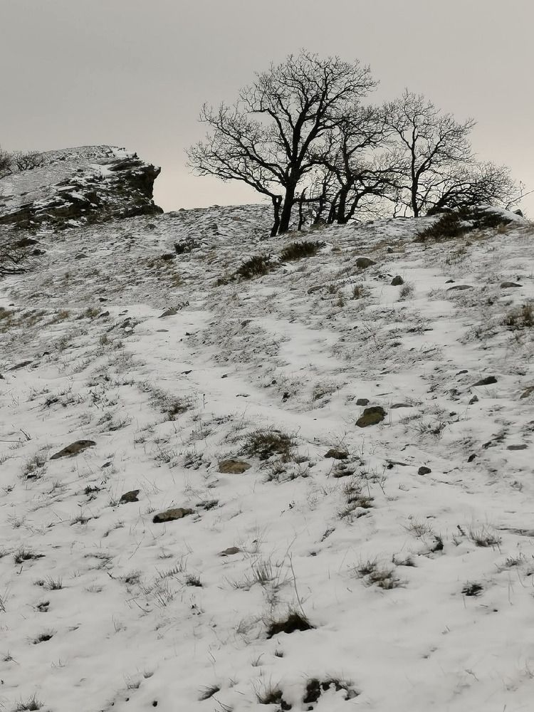 Photograph by дина