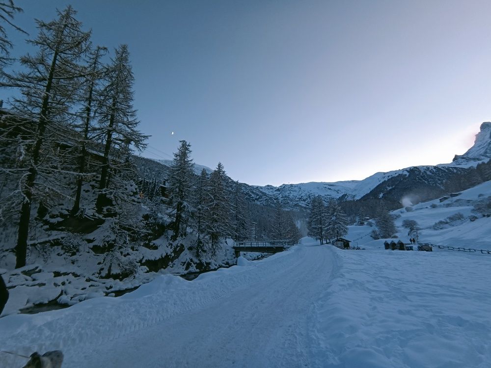 Nature under the snow