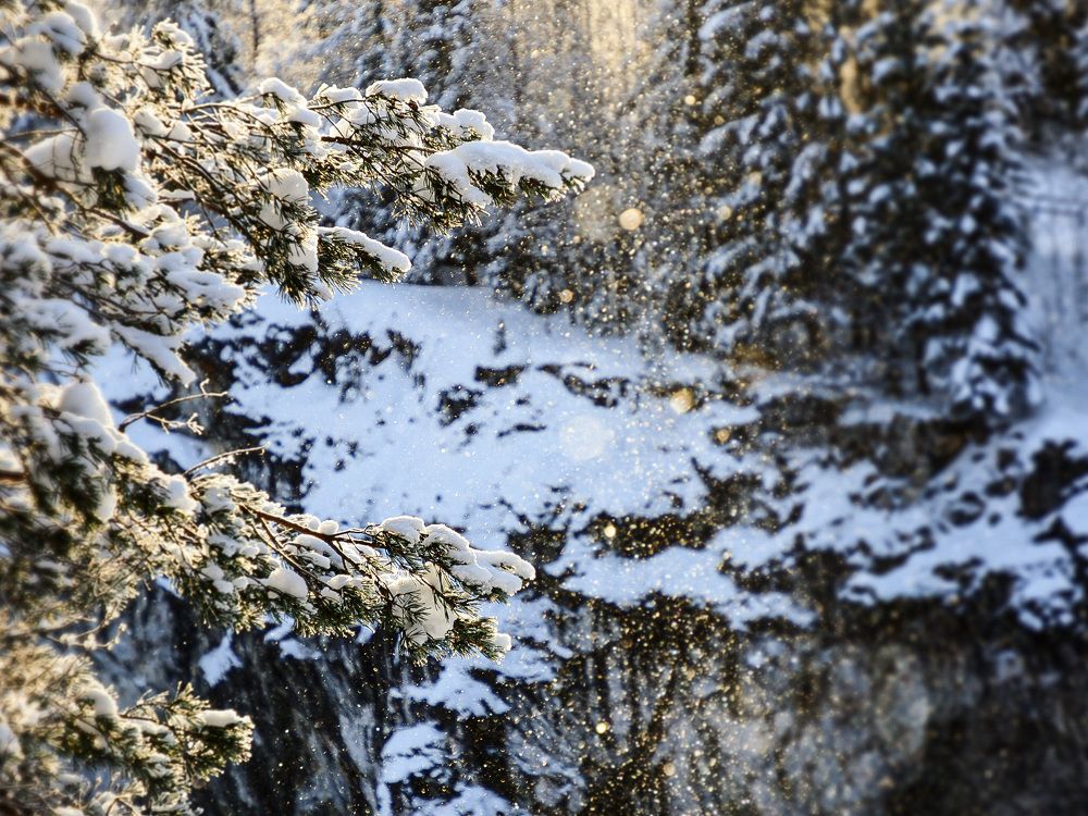 Photograph by Олеся Семенова