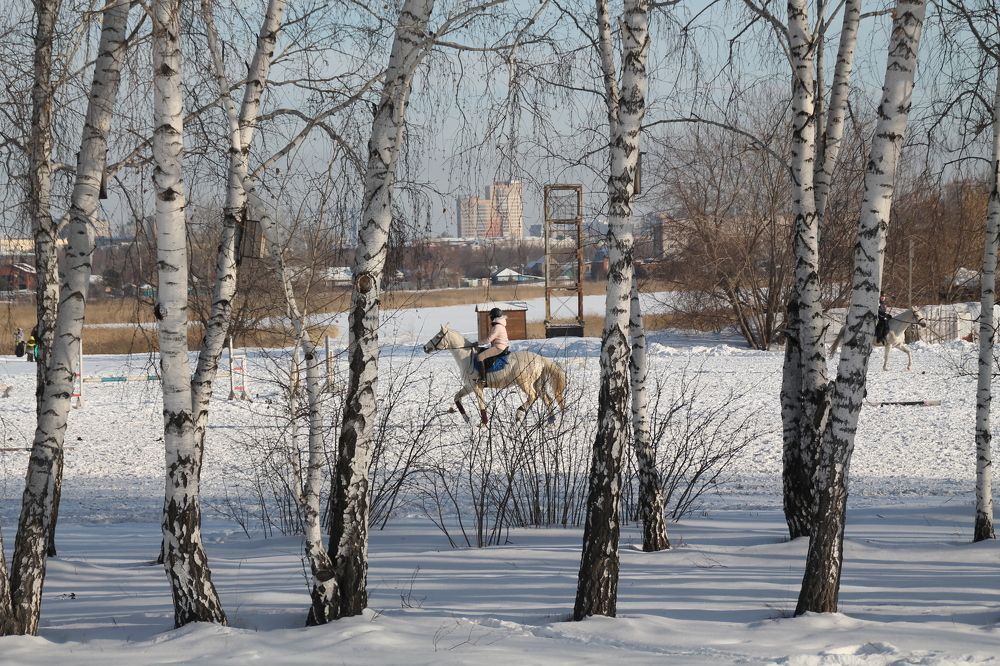 Photograph by Людмила Жданова