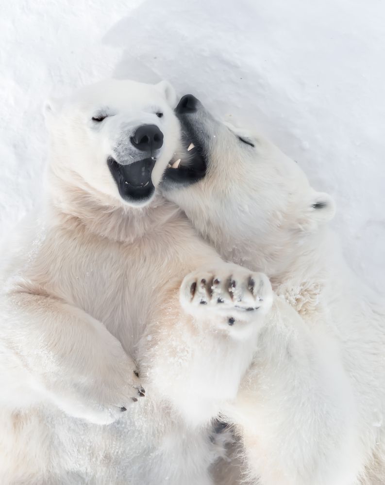 Photograph by Наталья Оконешникова