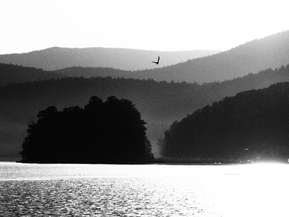 Photograph by Григорий