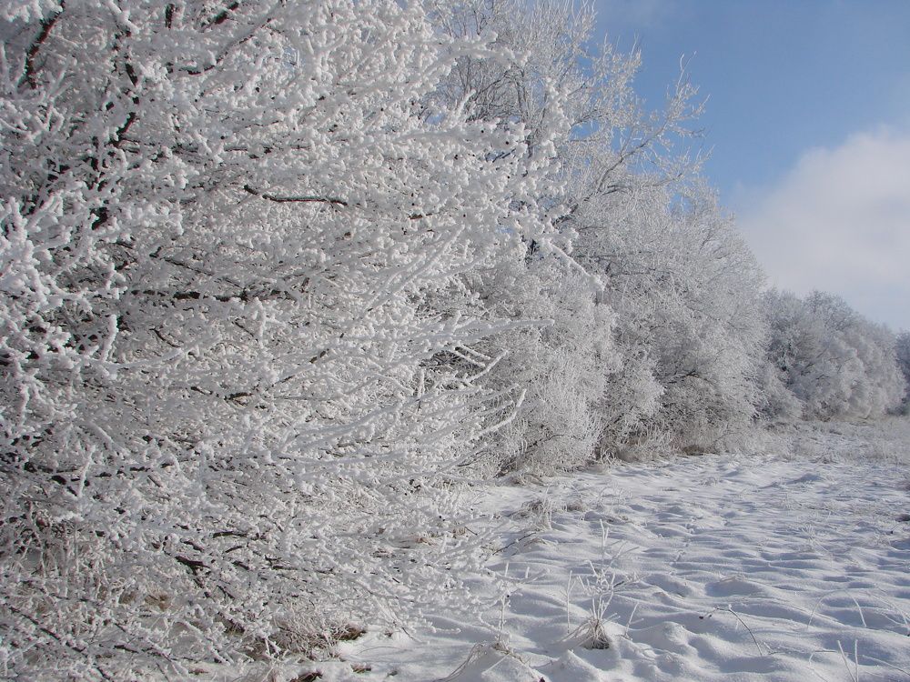 Photo #7182042