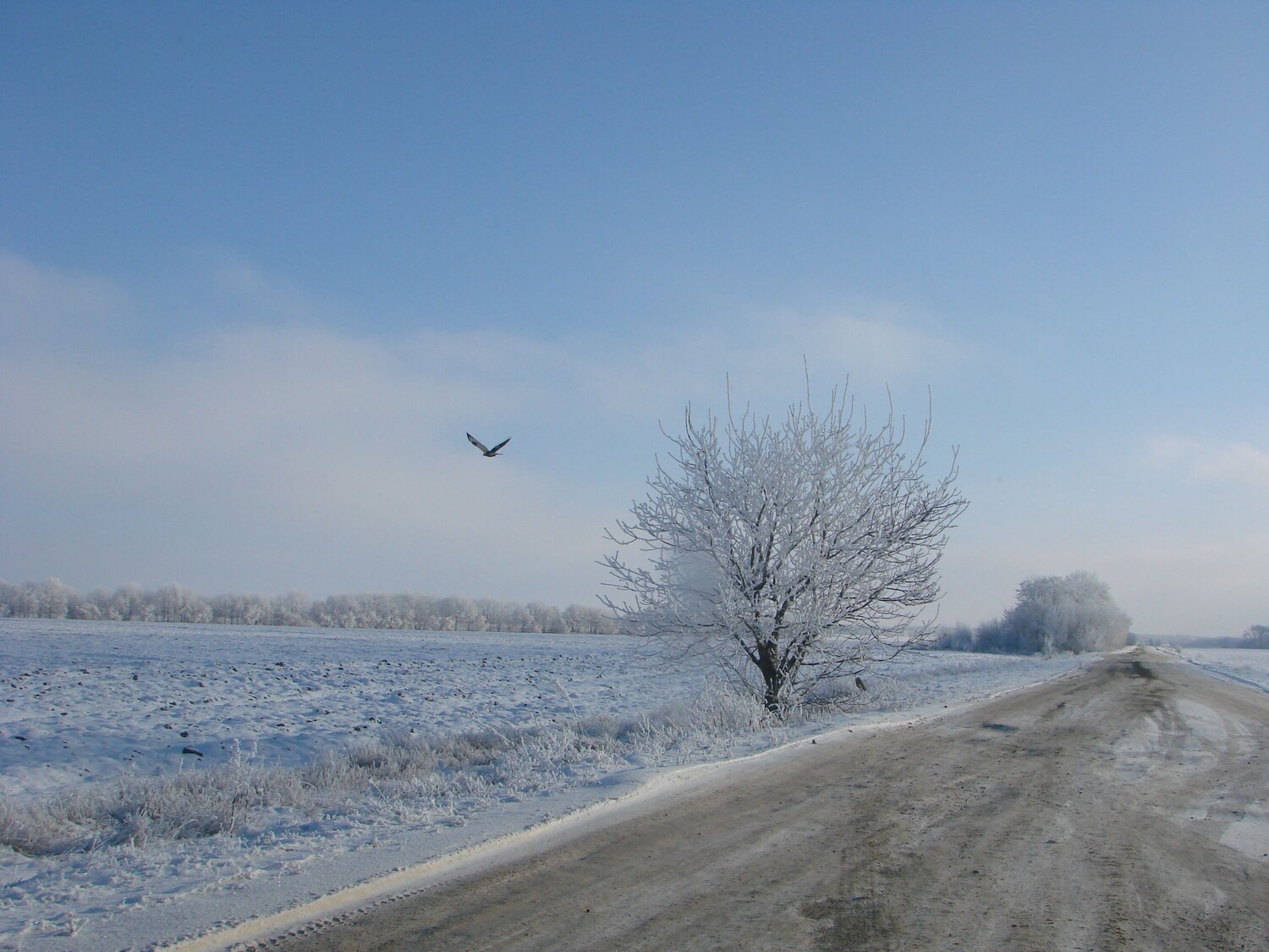 Photo #7182043