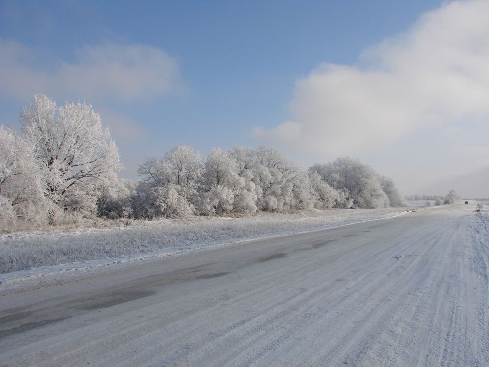 Photo #7182044