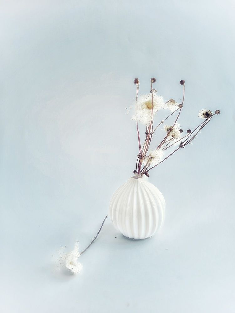 Photograph by Татьяна Соколовская