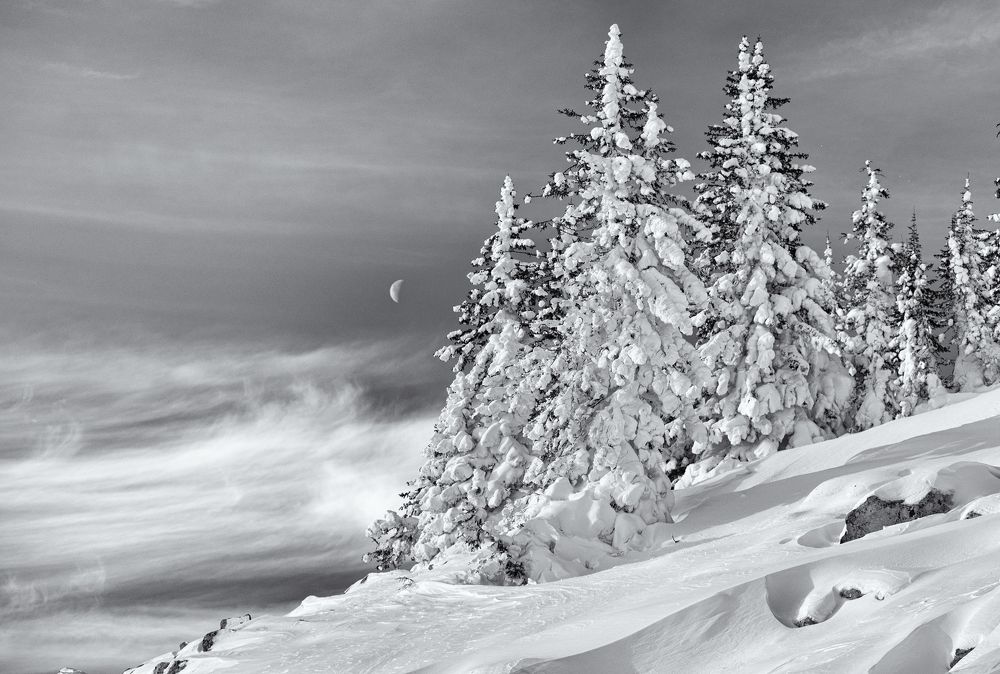 Фотография автора Сергей Сынтин