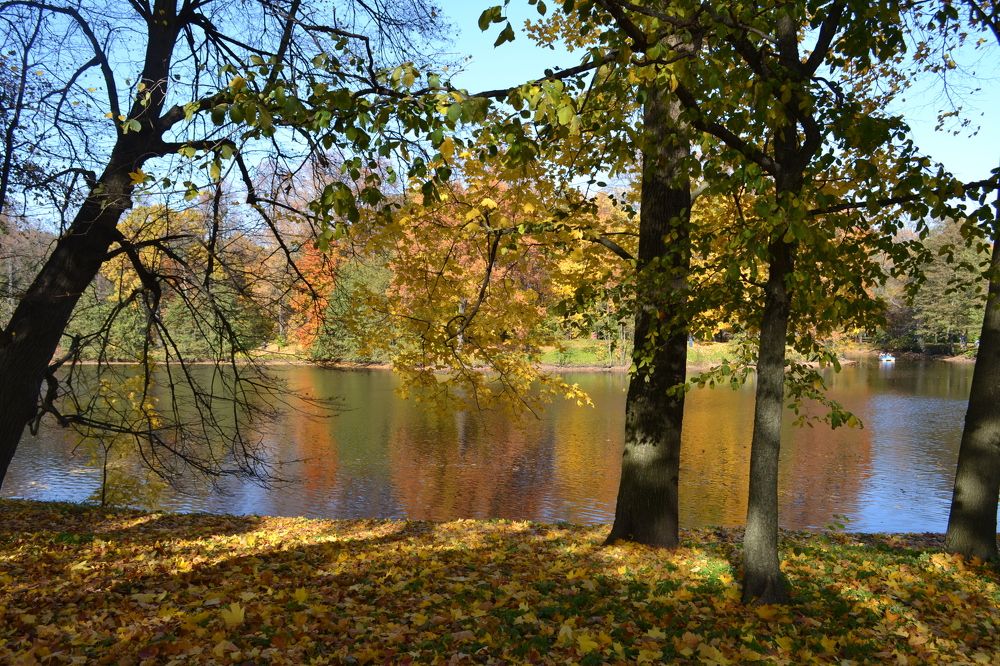 Photograph by Александр Морозов