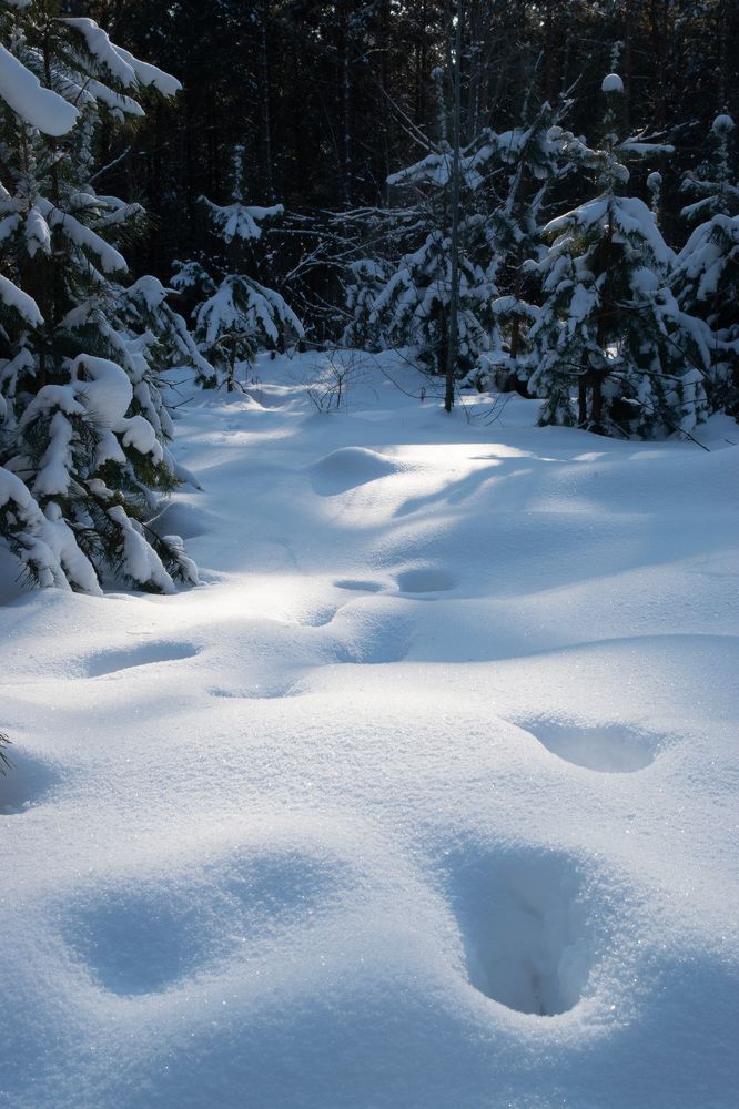 Photograph by Александр Ульянов