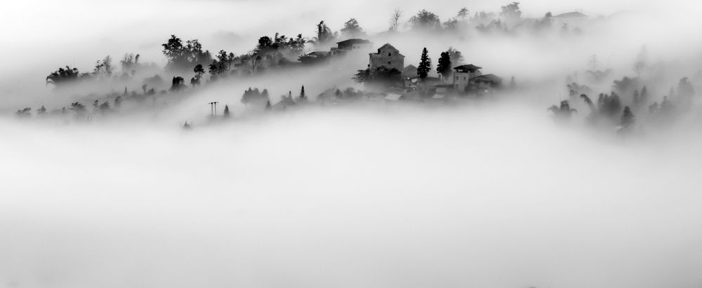 Photograph by Nguyễn