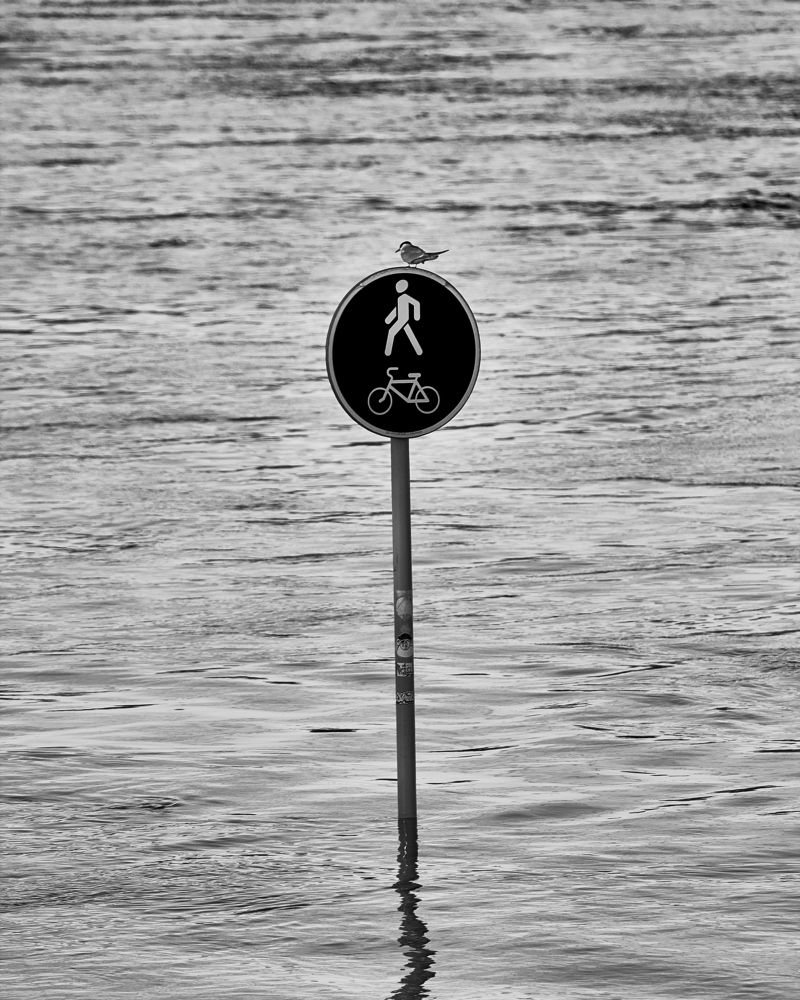 Photograph by Ринат Гарипов