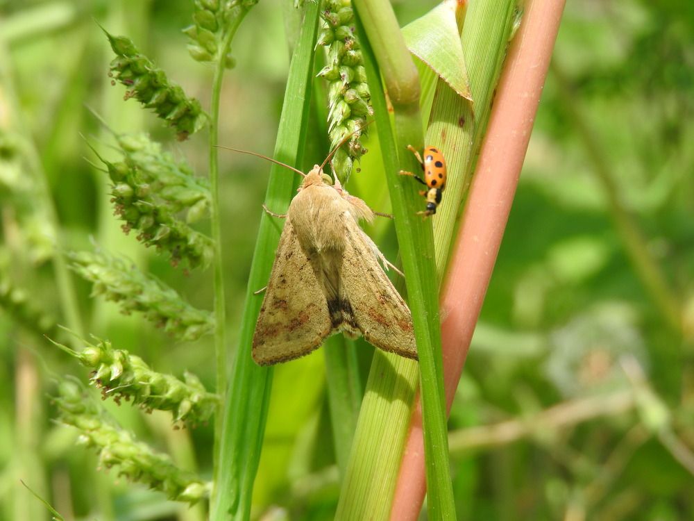 Фотография автора Юлия Овчинникова