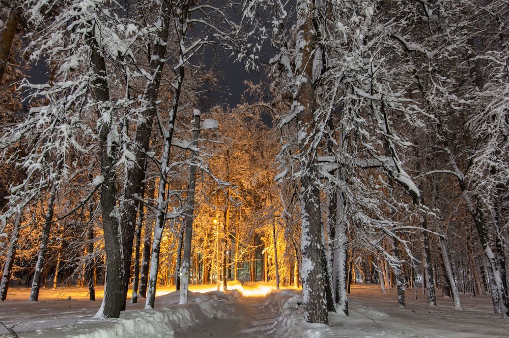 Photograph by Мария Мурзина