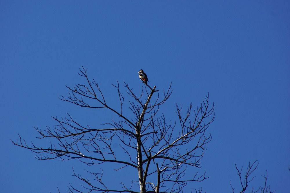 Photograph by Олег Чубайкин