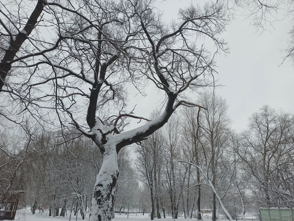 Photograph by Борис Каширин