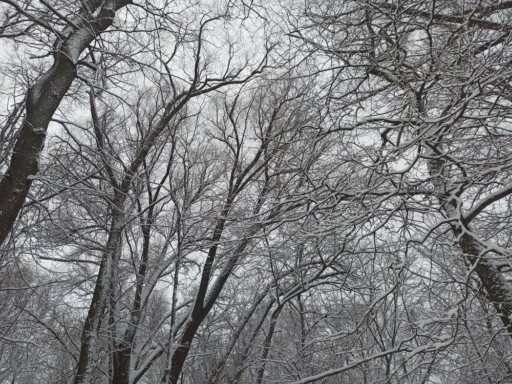 Photograph by Борис Каширин