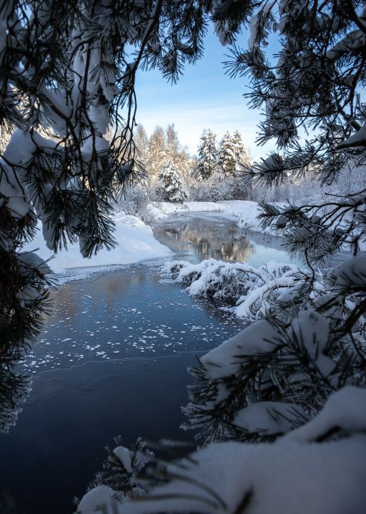 Photograph by Екатерина Лесная