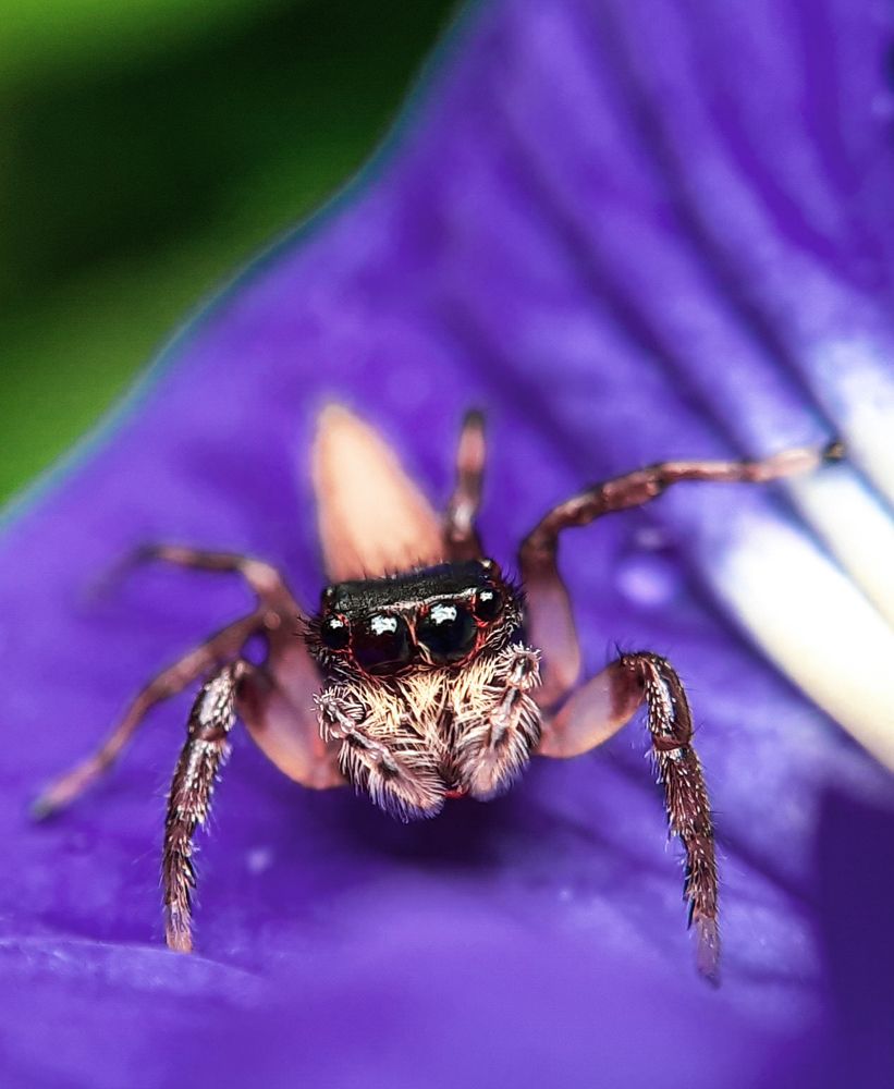 Photograph by Vishnu SR