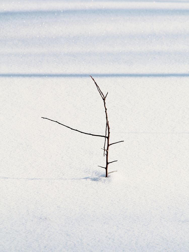 Photograph by Геннадий