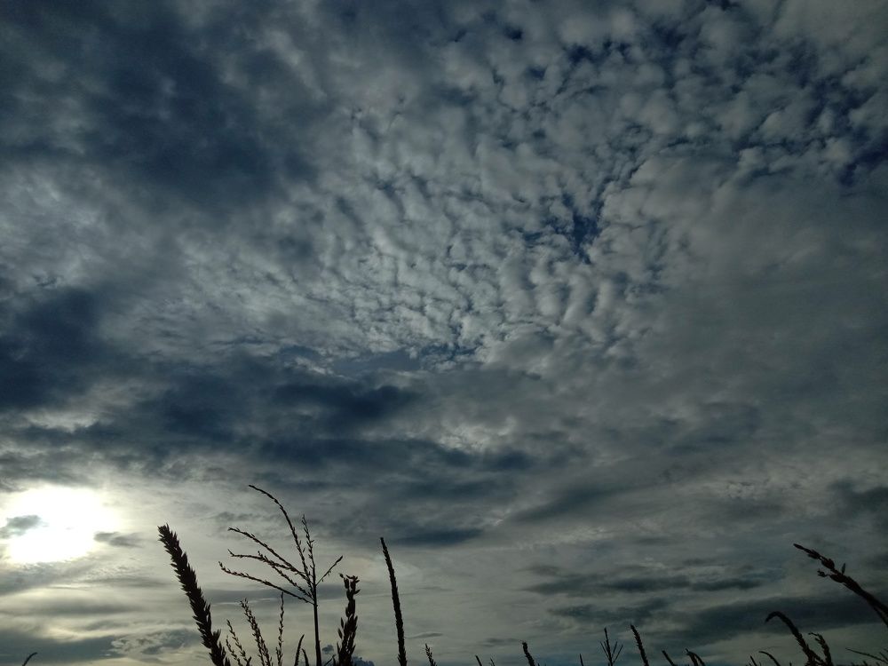 Twilight sky