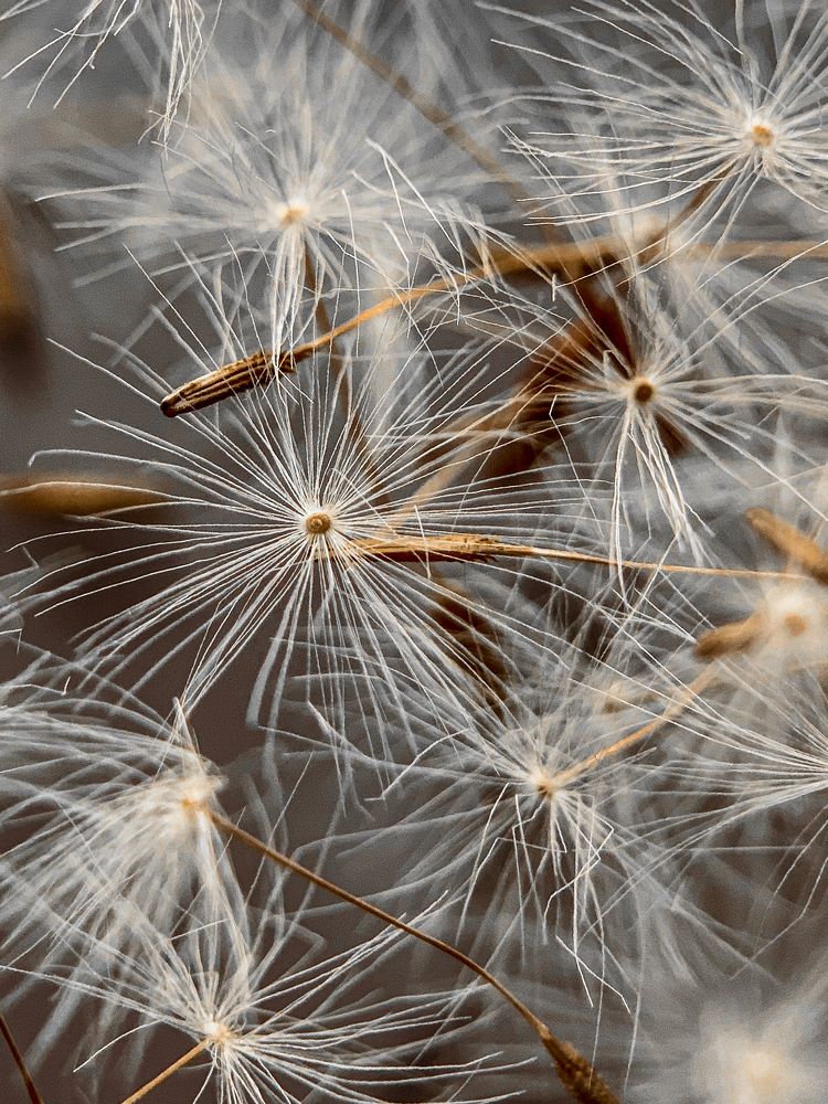 Photograph by Надежда Смирнова