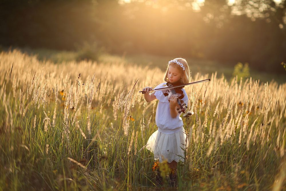 Летним вечером