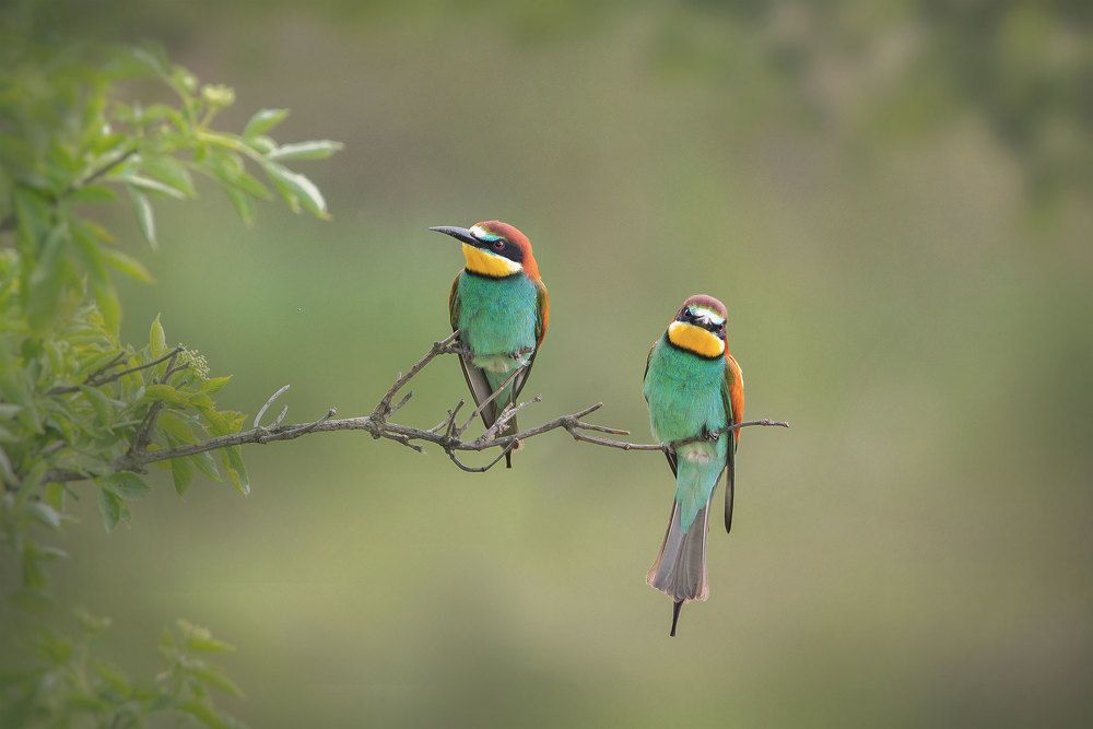 Photograph by Arkadiusz Michalak