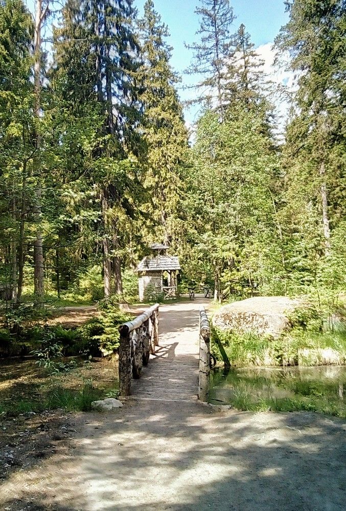 Photograph by Irina Mihailovskaya