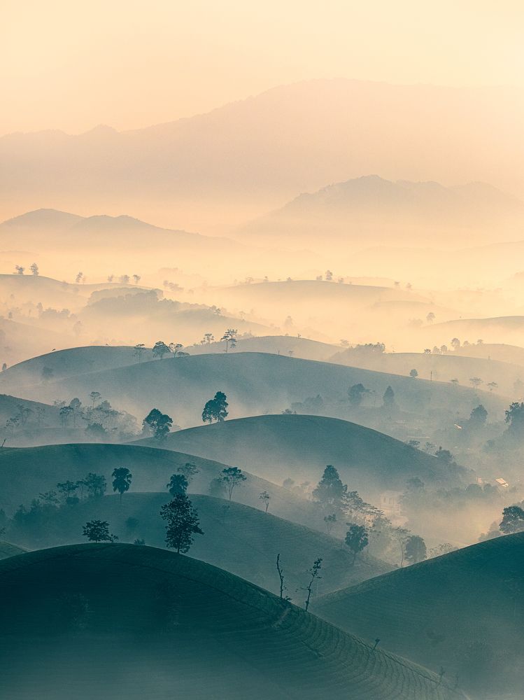 Photograph by Tuấn Nguyễn Tấn