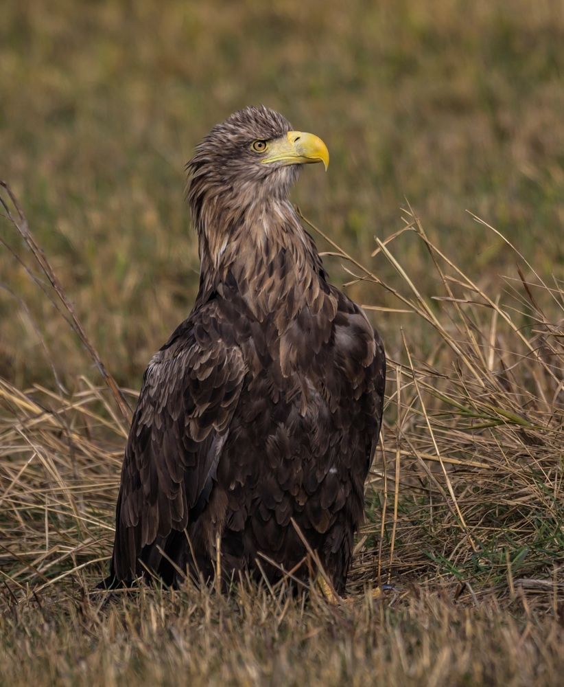 Photograph by Дмитрий Власов